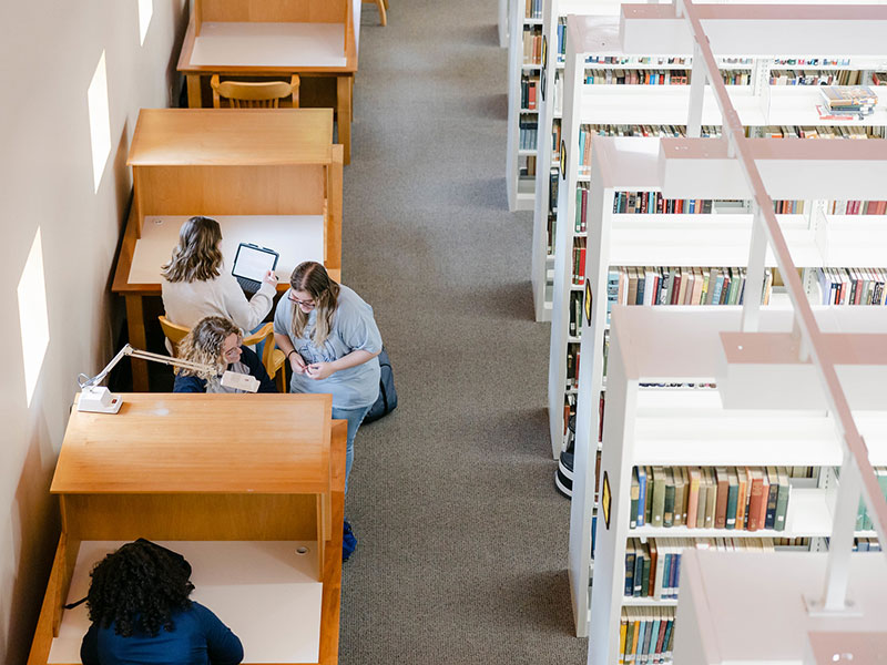 Students in the library