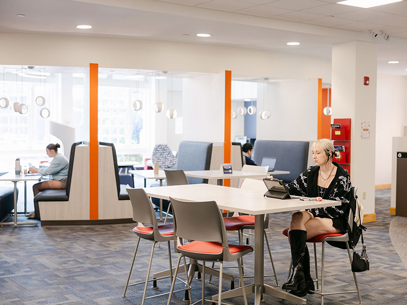 Students studying in the library